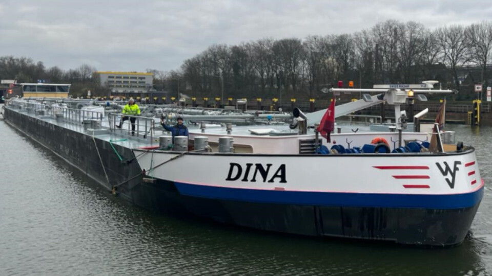 Dina Trendco Swiss