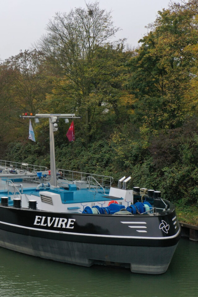 Elvire Trendco Swiss