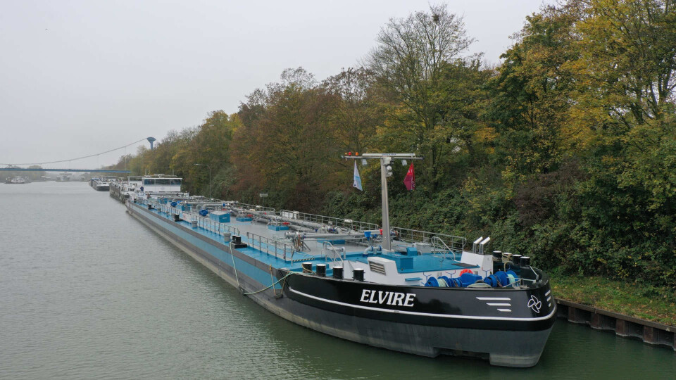 Elvire Trendco Swiss