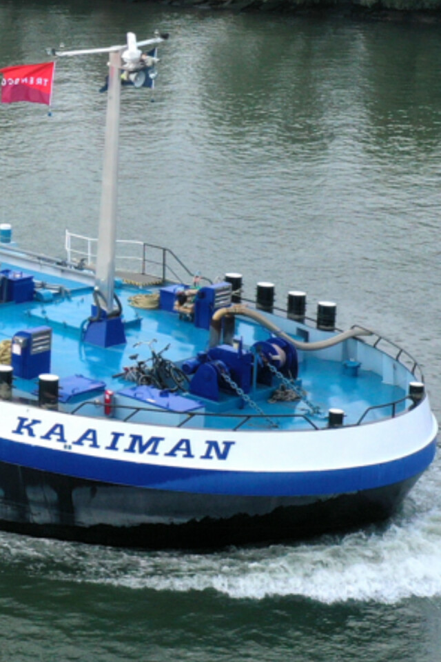 Kaaiman Trendco Swiss