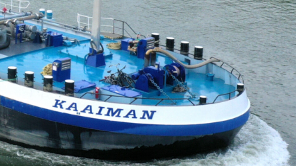 Kaaiman Trendco Swiss